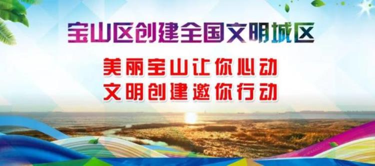 上海出发莫干山怎么乘车「上海坐巴士直达莫干山游玩攻略都齐了快抓紧上车」