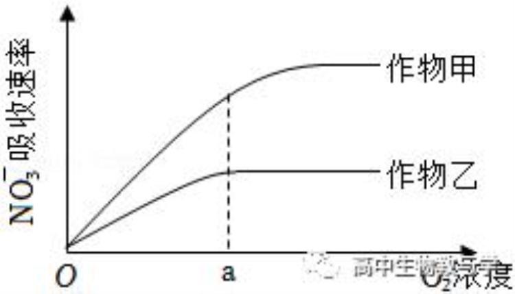 高考生物题型全归纳2021版「2022年高考生物试题分类解析细胞分子组成结构和物质运输」