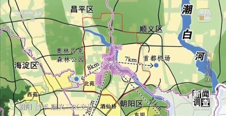 城市与自然融为一体「新闻调查丨独木不成林城市与自然相互融合」