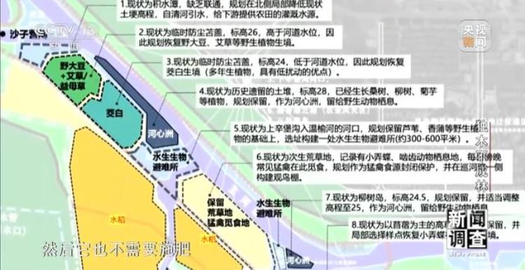 城市与自然融为一体「新闻调查丨独木不成林城市与自然相互融合」