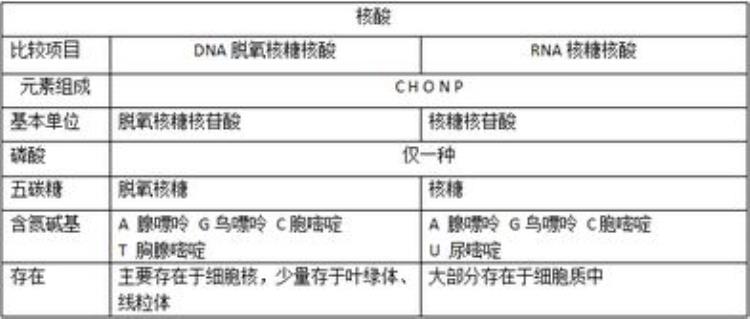 生物必修一高中「高中生物必修1这58个坑千万别掉进去」