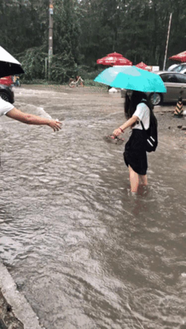 台风天从上海飞回北京的人「上海的台风怎么就跑到北京来了这些台风小知识你需要了解下」