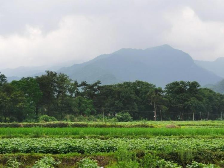 农村的地值不值钱「土地种房子值钱种庄稼不值钱乡村土地为什么就不能值钱呢」