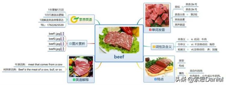 索思英语解码单词第124个beef牛肉