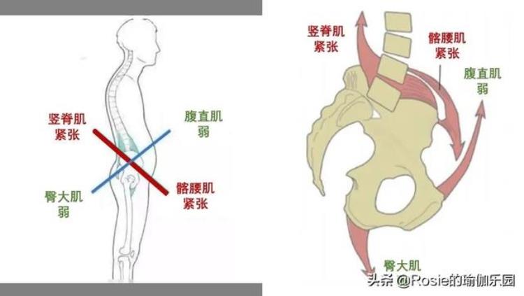 吉娜的腰细的不正常「53cm吉娜腰又细了找对粗腰类型对症训练缩腰更快」