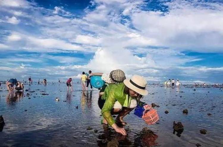 大海为何会涨潮和退潮「大海为什么会涨潮退潮那么多海水是打哪儿来又去了哪里呢」