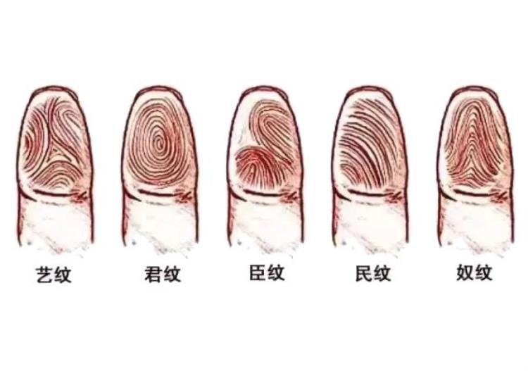 宝宝手上的螺纹会遗传父母吗「儿子手上的螺纹数和爸爸一样这是遗传吗网友命运还遗传」