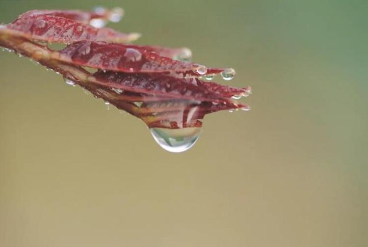 至少多少个水分子才能叫一滴水