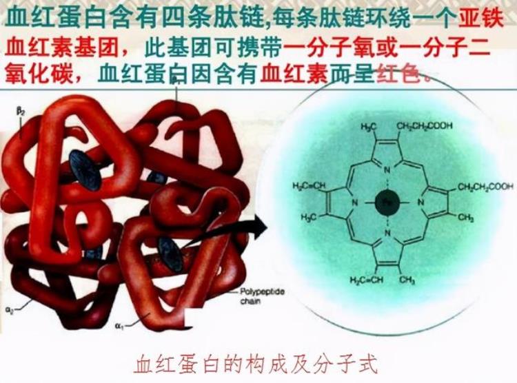 影响呼吸功能的几个因素有「影响呼吸功能的几个因素」