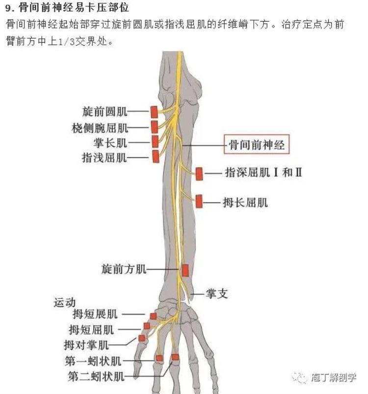 手腕一用力或旋转小臂就疼「前臂和腕部疼痛手弯曲无力写字或拿小物品困难原因应对」