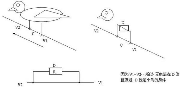 小鸟站在高压输电线上为什么不会触电「涨知识为什么小鸟站在高压线上不会触电」