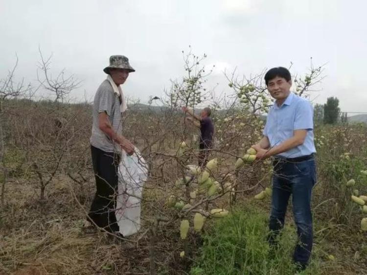 育树 育人「他精于育树更专注育人为这样的好老师点赞」