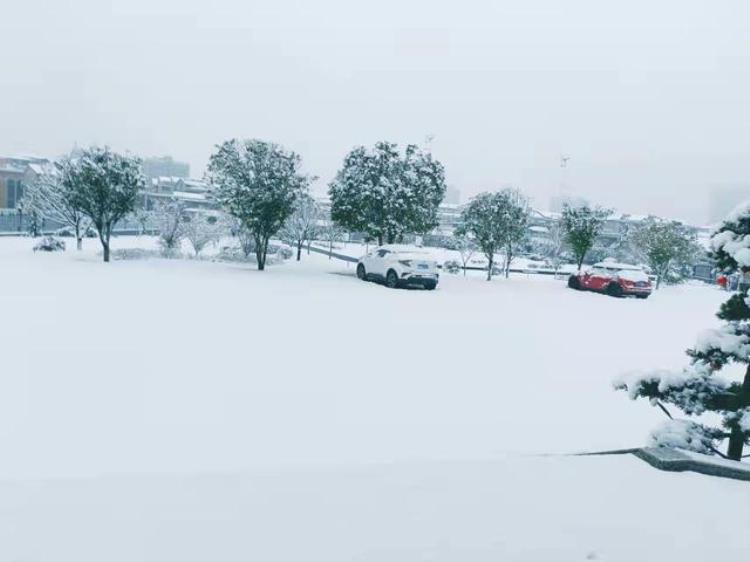 这个年关为何多雨雪「这个年关为何多雨雪」