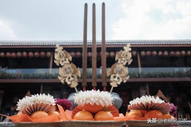 过年不祭祖「为啥说春节不祭祖罪孽难饶恕春节祭祖很重要吗」