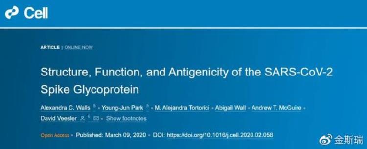 基于s蛋白的新冠疫苗研发「Cell深度解读|为什么新冠疫苗开发要从S蛋白开始」