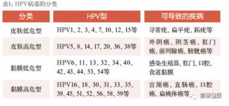 HPV疫苗二价、四价、九价有什么区别「HPV疫苗二价四价和九价有何区别价代表什么意思」