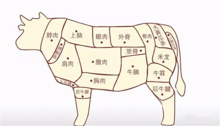 卖牛肉的问题「买牛肉时只要认准这3点肉贩子一看就是内行人」