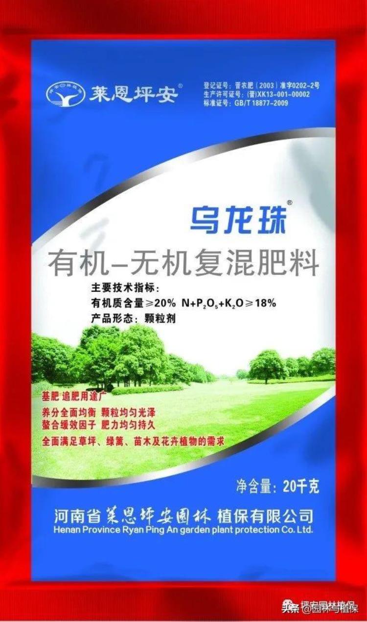 红枫为什么不红?「您的红枫为什么不红呢」