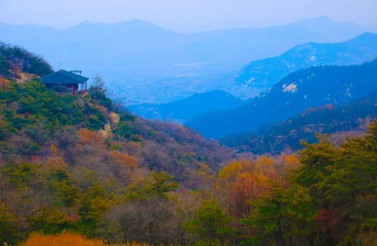 秋天为什么适合旅游「为什么秋天要去旅行这里是我见过最美的答案」