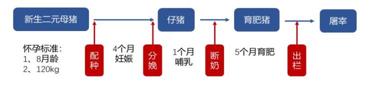 经济周期出现的原因和内在逻辑是什么「经济周期出现的原因和内在逻辑」