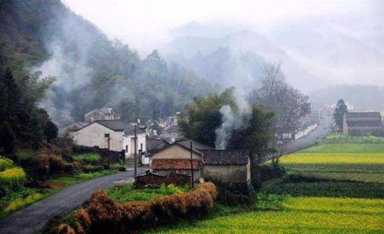 北雁为什么南飞「农村北雁为何非要南飞」