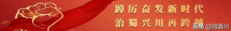 新冠疫苗暂时停止接种「疫情防控|今天起暂停新冠疫苗接种」