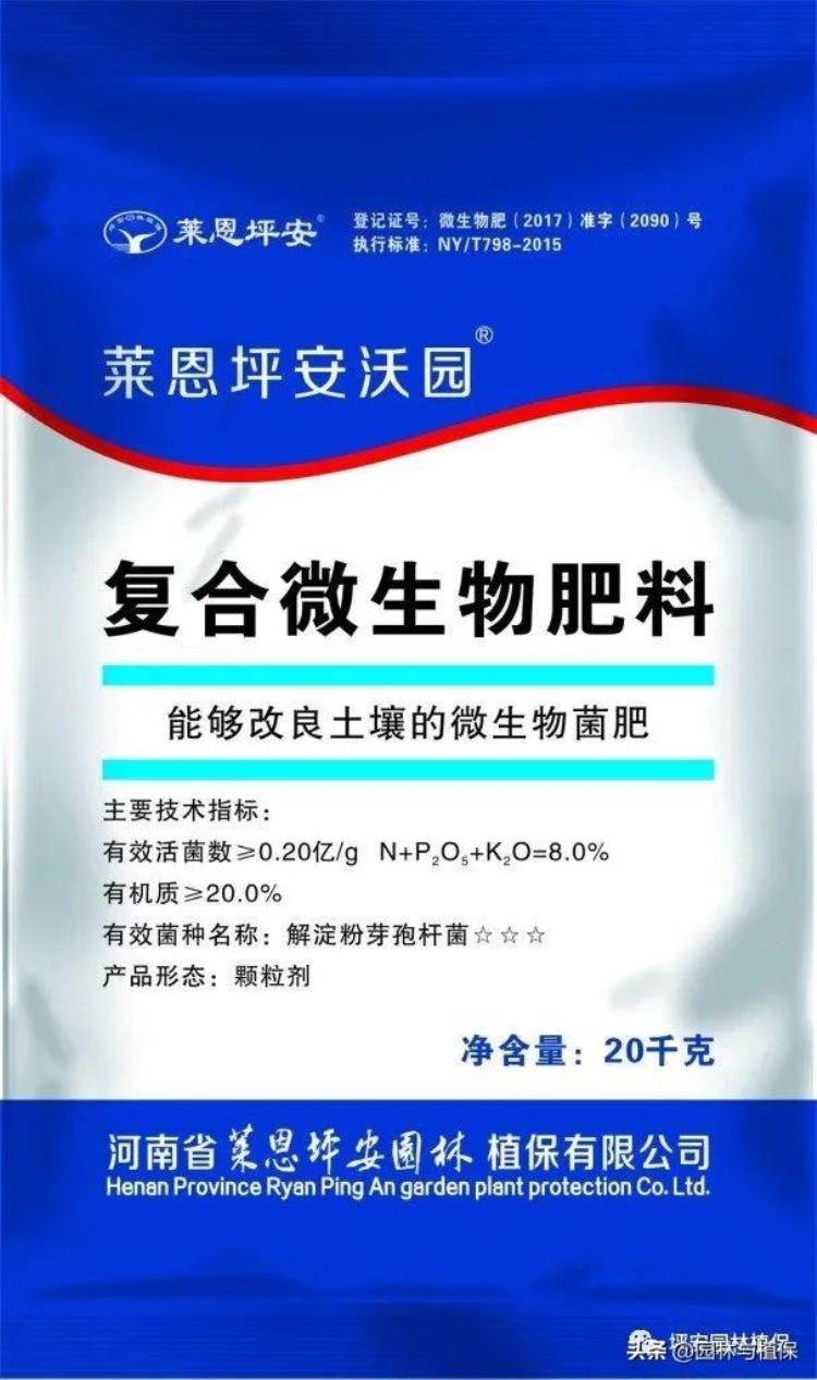 红枫为什么不红?「您的红枫为什么不红呢」