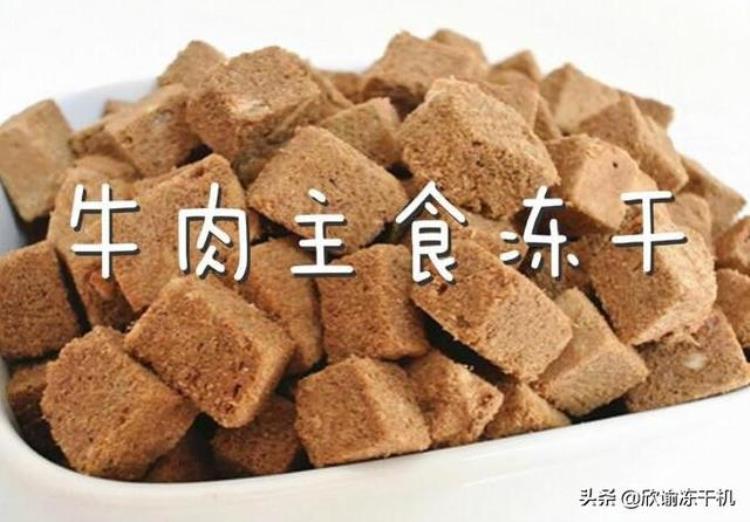 一份关于冻干牛肉的工艺研究和技术探讨论文「一份关于冻干牛肉的工艺研究和技术探讨」