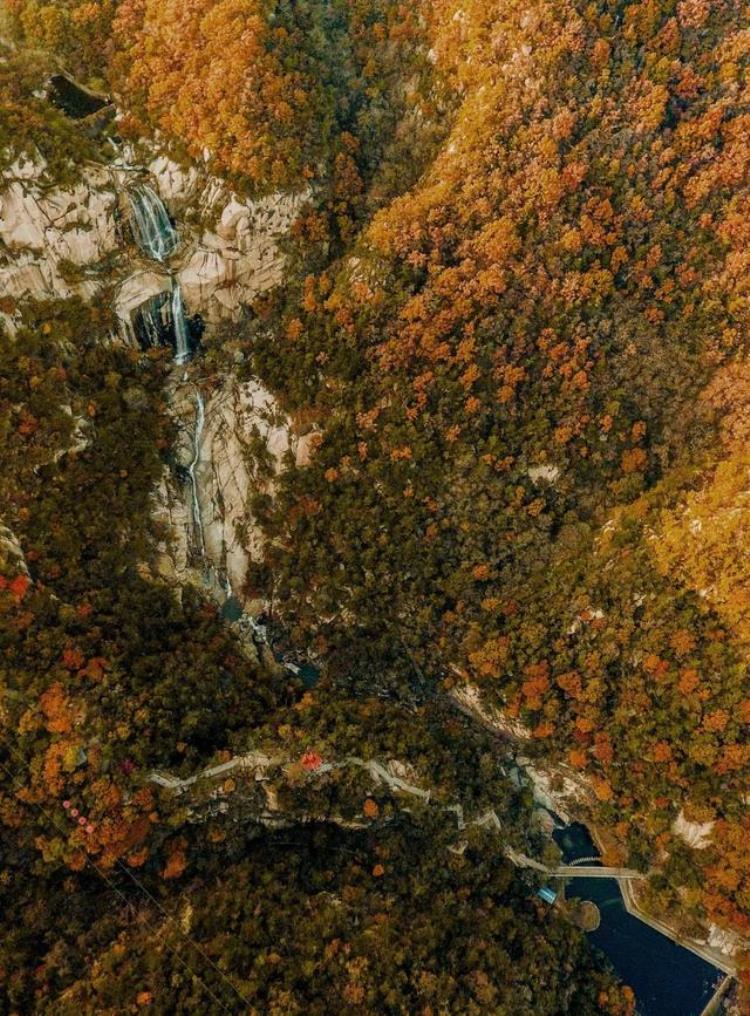 秋天为什么适合旅游「为什么秋天要去旅行这里是我见过最美的答案」