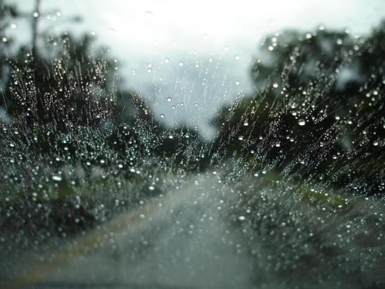 为什么今年秋天雨水这么多「今年的秋季为什么雨水这么多」