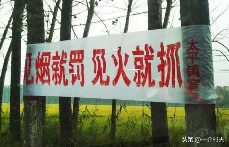 为何焚烧秸秆「9月农村又查焚烧秸秆日本农民却还在烧秸秆啥原因」