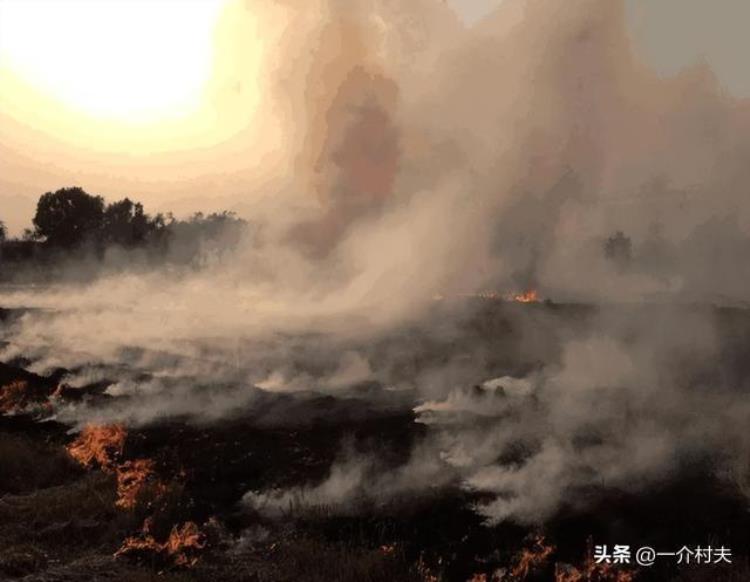 为何焚烧秸秆「9月农村又查焚烧秸秆日本农民却还在烧秸秆啥原因」