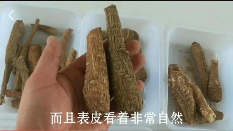 白芷用作香料「香料包的秘密25白芷香料界的斜杠青年」