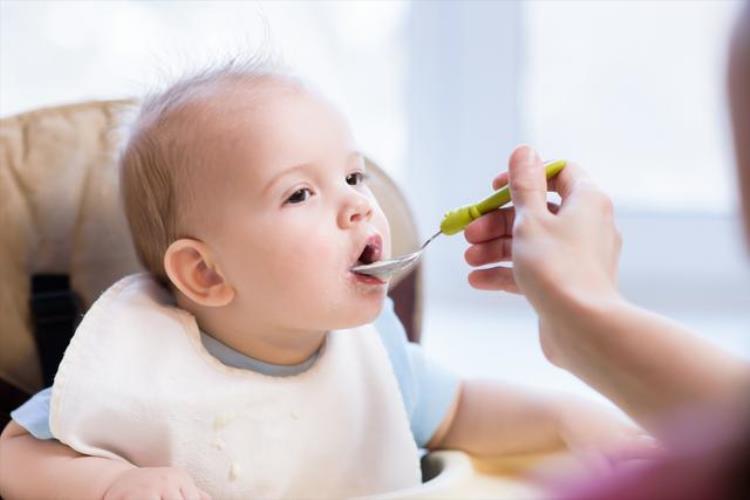 婴儿增添辅食因避免「给宝宝添加新的辅食要避免这几种冲突否则会导致孩子生病」