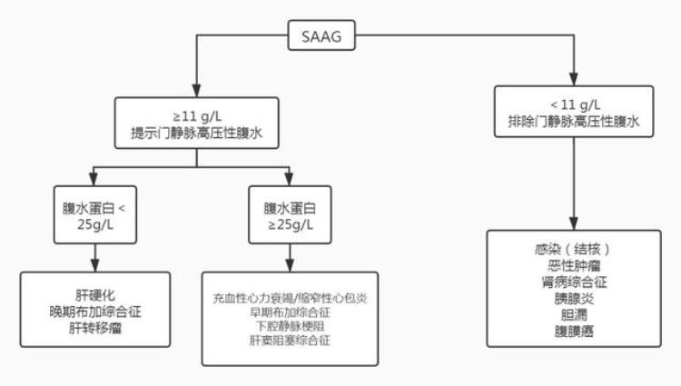 引起腹水的病因「腹水病因那么多一文帮你理清思路|临床必备」