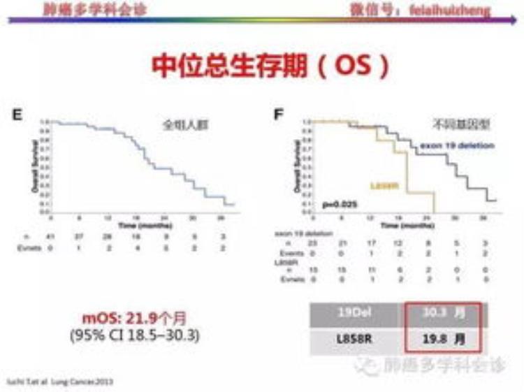 TTP的诊断「一例TTP患者的诊断与治疗」