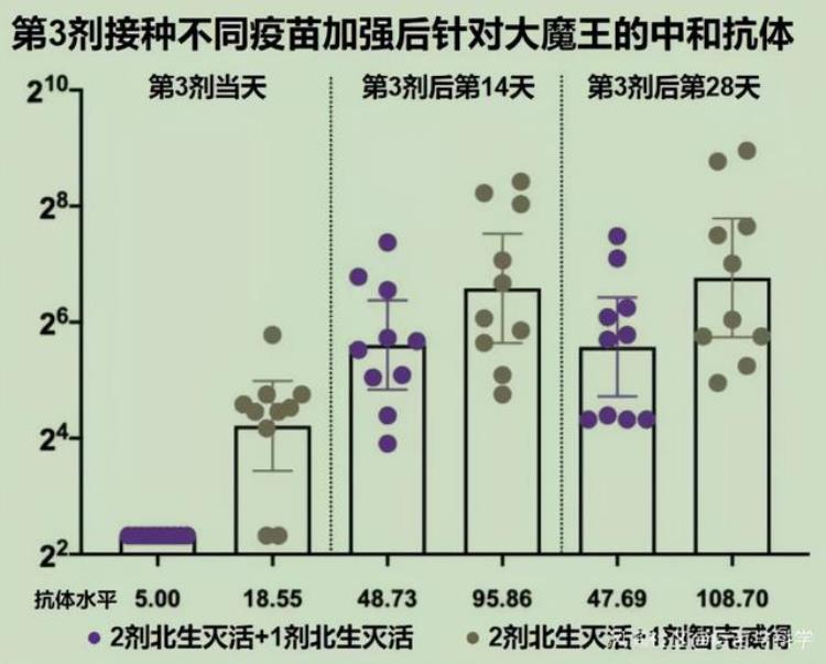 白蛋白重组疫苗「重组蛋白疫苗重磅好消息但挑战很大」