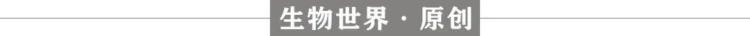 接种新冠疫苗有利于「我国学者发现早上接种新冠疫苗效果更好产生更强的免疫反应」