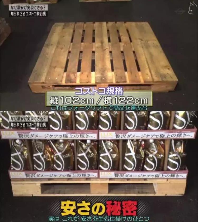 日本近10万人被解雇「18年前它险些被赶出日本今天她有8700雇员和彻夜排队的粉丝」