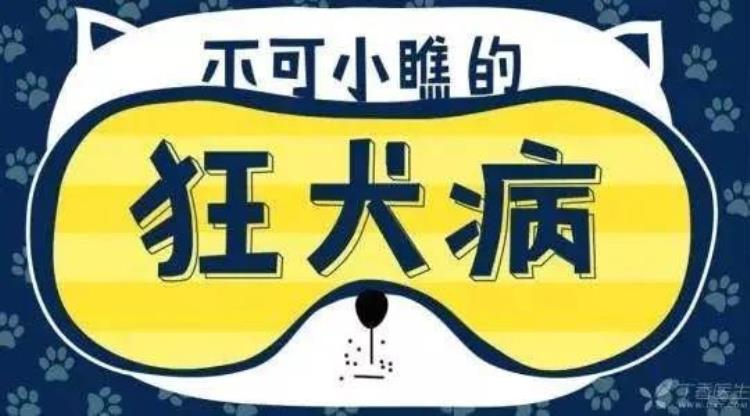 关于狂犬疫苗你需要了解的问题「关于狂犬疫苗你需要了解的」