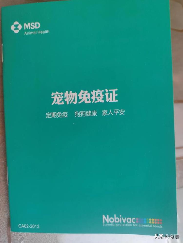 带小奶狗团团逛章丘眼明泉打疫苗后为何连续呕吐