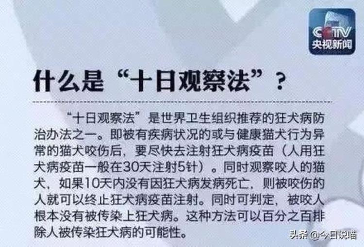 被自家的猫咪抓伤需要打疫苗吗「被自家猫咪抓咬伤一定要打疫苗吗央视科学回应来了」