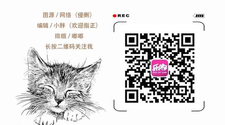 关于狂犬病疫苗你需要了解的几件事「关于狂犬病疫苗你需要了解的几件事」