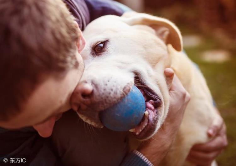 打完狂犬疫苗腿疼是什么原因「打完狂犬疫苗之后会腿疼这是为什么呢不必过于担心」