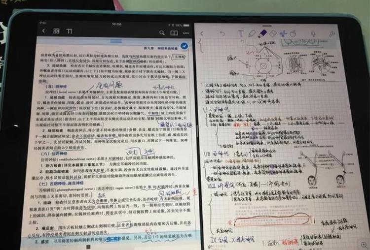 运用ipad教学的利与弊「当今学生用iPad来学习各种作业是利还是弊网友靠自律」