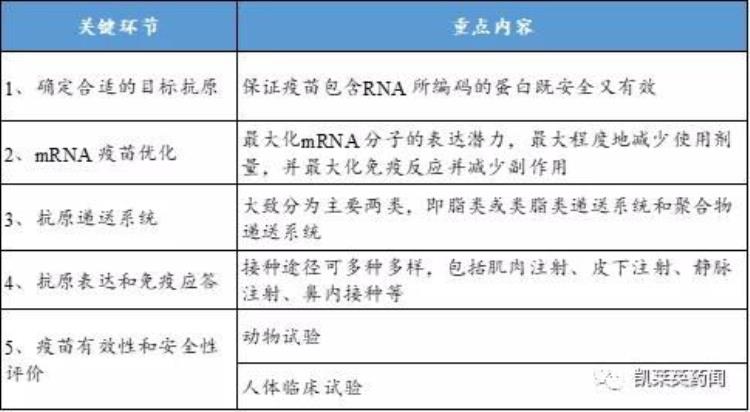 国外的疫苗研发凭什么比中国快「国外的疫苗研发凭什么比中国快」