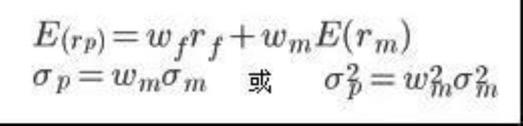 资本市场及证券投资组合管理「投资组合管理理论框架7资本市场线与证券市场线」