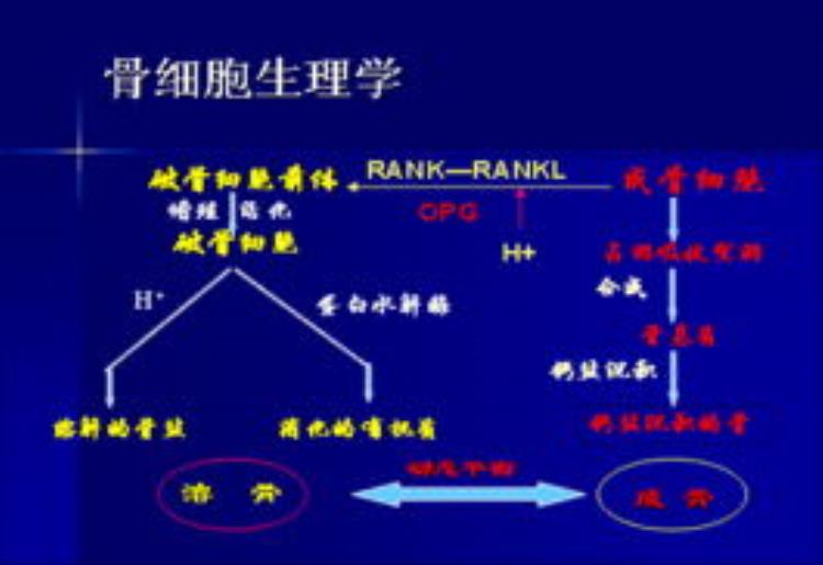 癌症患者做骨扫描为何不能确诊癌症骨转移「癌症患者做骨扫描为何不能确诊癌症骨转移」