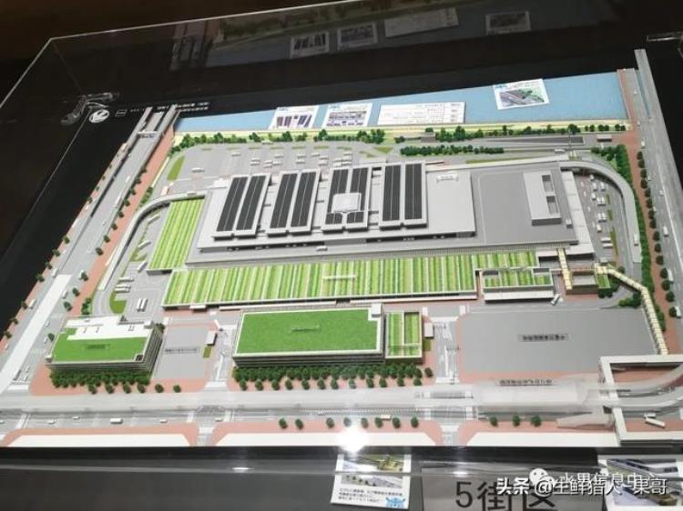 东京丰州水产市场「日本豐洲市场长啥样高度现代化果蔬水产批发市场」