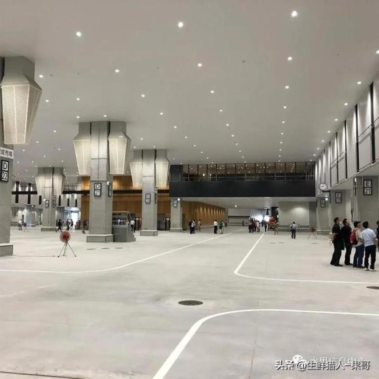 东京丰州水产市场「日本豐洲市场长啥样高度现代化果蔬水产批发市场」